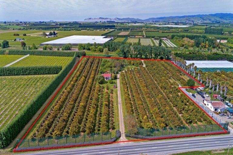 Photo of property in 341 Wharerata Road, Matawhero, Gisborne, 4071