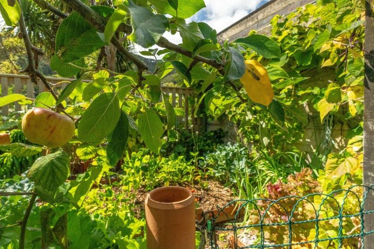 Photo of property in 10 Maire Street, Eastbourne, Lower Hutt, 5013