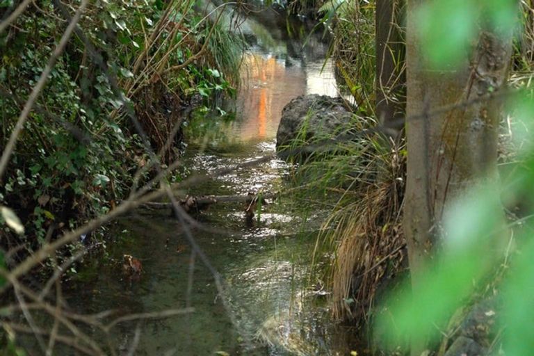 Photo of property in 11 Royds Street, Fendalton, Christchurch, 8014