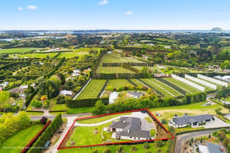 Photo of property in 156a Munro Road, Minden, Tauranga, 3179