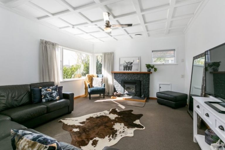 Photo of property in 29 Te Aute Road, Havelock North, 4130