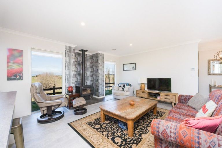 Photo of property in 60 Beechwood Road, Feilding, 4779