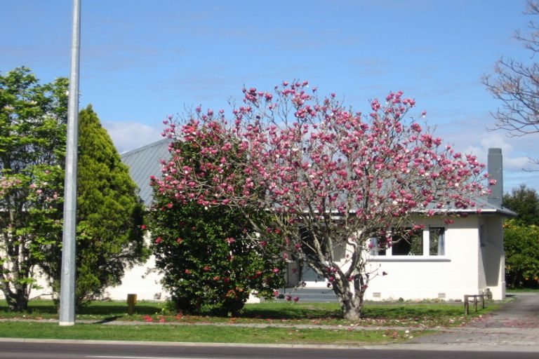Photo of property in 112 Fifteenth Avenue, Tauranga South, Tauranga, 3112