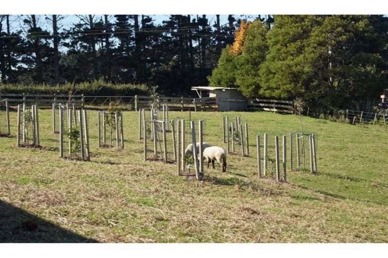 Photo of property in 167 Wymer Road, Glenbrook, Waiuku, 2681