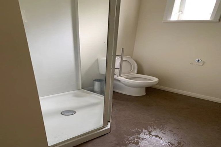 Photo of property in 23 Plunket Street, Kelburn, Wellington, 6012