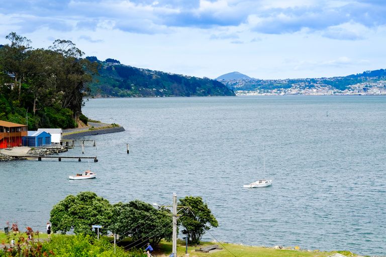 Photo of property in 3 Wharfdale Street, Macandrew Bay, Dunedin, 9014