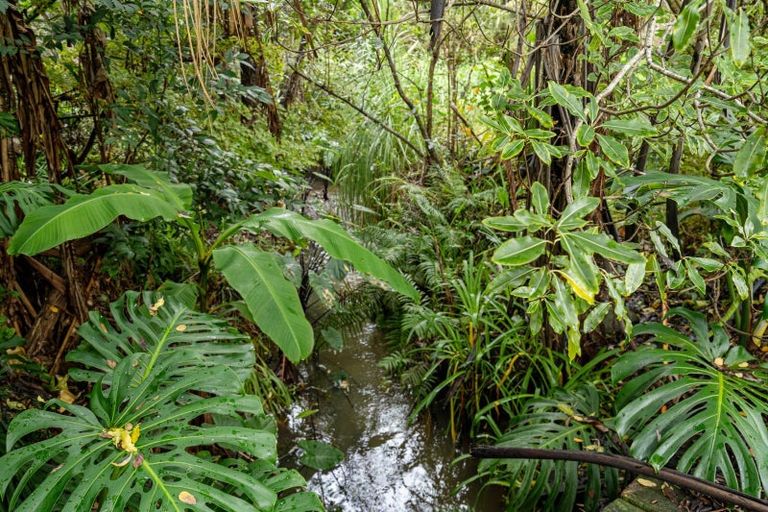 Photo of property in 31 Waimangaro Road, Opua, 0200