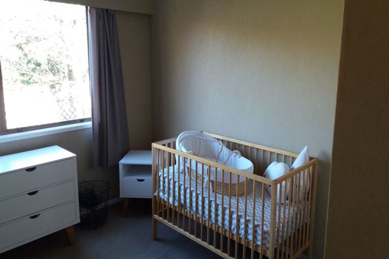 Photo of property in 31 Amanda Avenue, Dinsdale, Hamilton, 3204