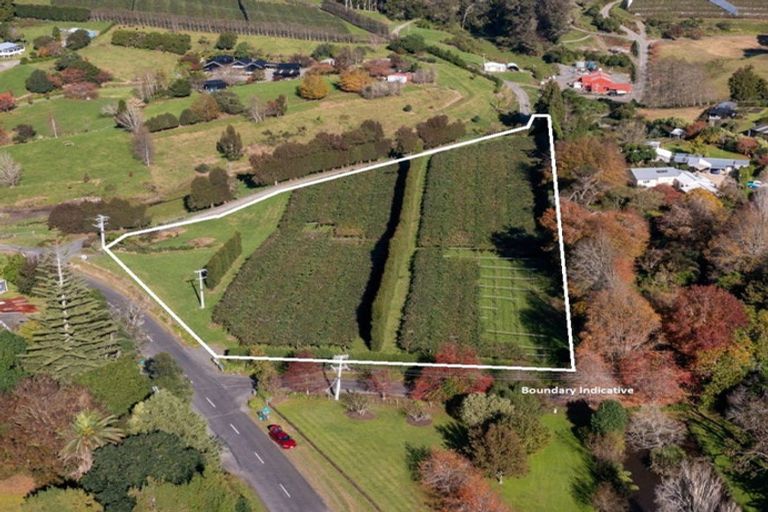 Photo of property in 394 Old Highway, Whakamarama, 3180