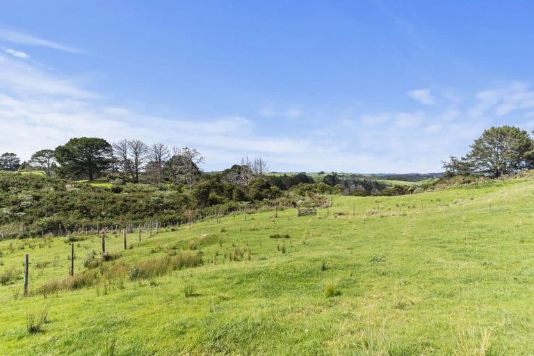 Photo of property in 132b Gatfield Road, Kaukapakapa, 0873
