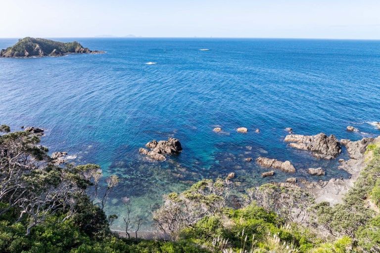 Photo of property in 50 Dolphin Place, Tutukaka, Whangarei, 0173
