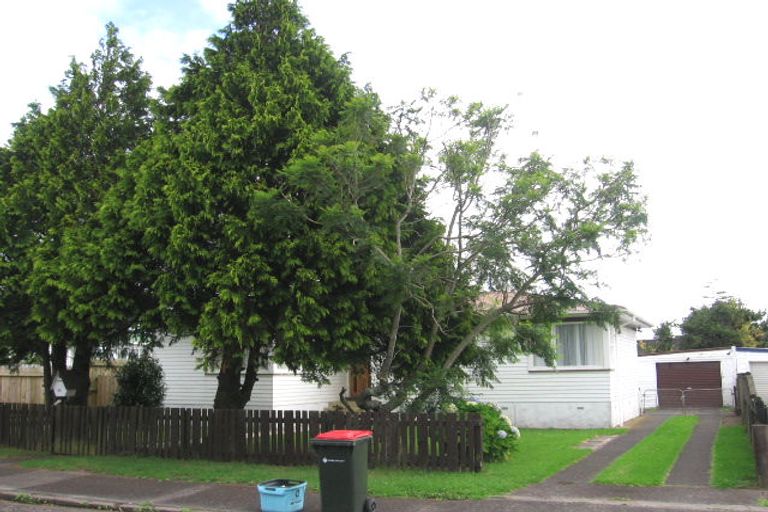 Photo of property in 17 Harwood Road, Mount Wellington, Auckland, 1060