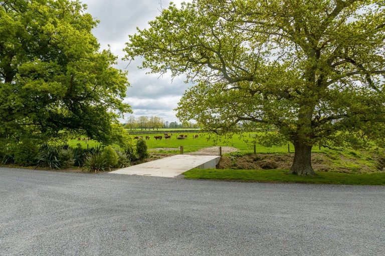 Photo of property in 447 Roto O Rangi Road, Rotoorangi, Cambridge, 3495