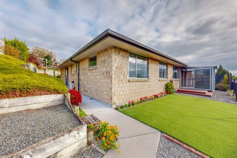 Photo of property in 38 Cambridge Street, Putaruru, 3411