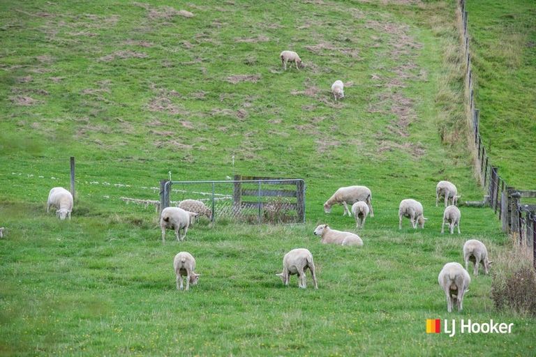 Photo of property in 16 Woodside Road, Woodside, Outram, 9073