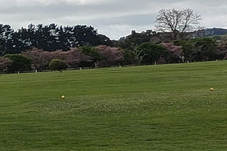 Photo of property in 529 Kane Street, Pirongia, 3802