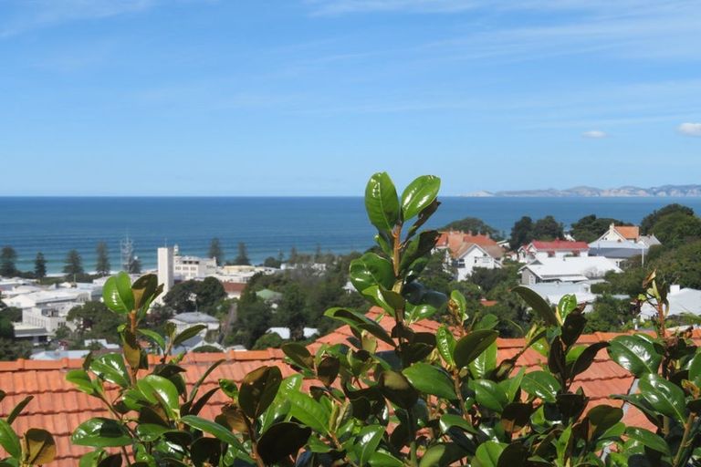 Photo of property in 18a Harvey Road, Bluff Hill, Napier, 4110