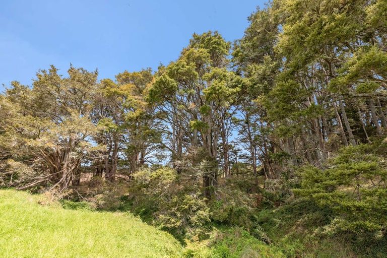 Photo of property in 645 West Coast Road, Oratia, Warkworth, 0604