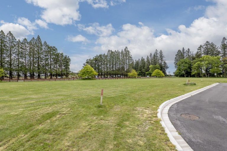 Photo of property in 38 Memorial Crescent, Methven, 7730