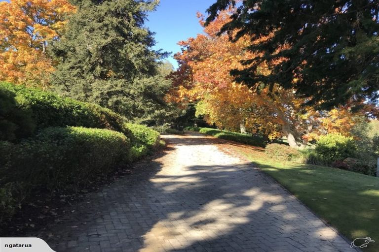 Photo of property in 1549 Raukawa Road, Raukawa, Hastings, 4174