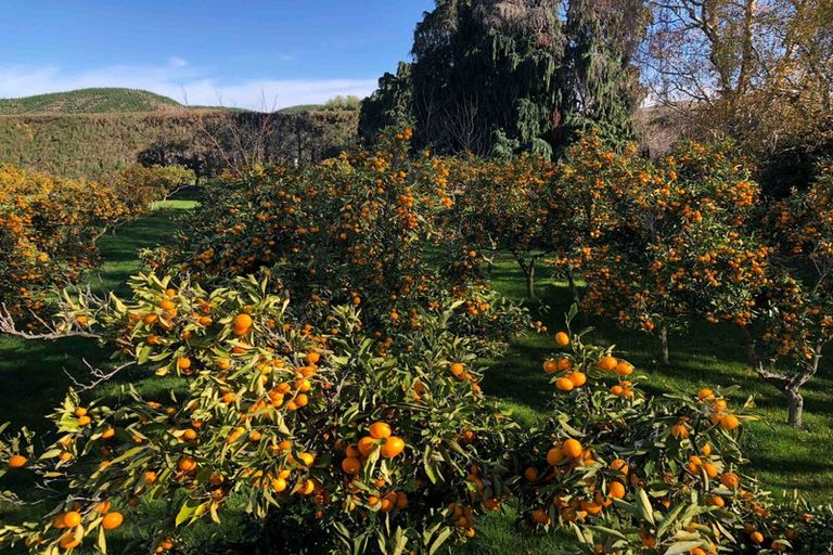 Photo of property in 321 Omarunui Road, Puketapu, Napier, 4183