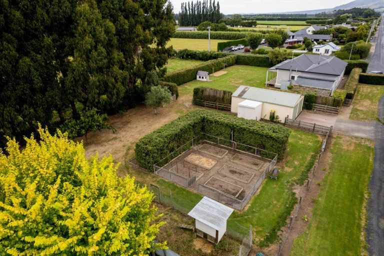 Photo of property in 524 Allanton Road, Outram, 9019