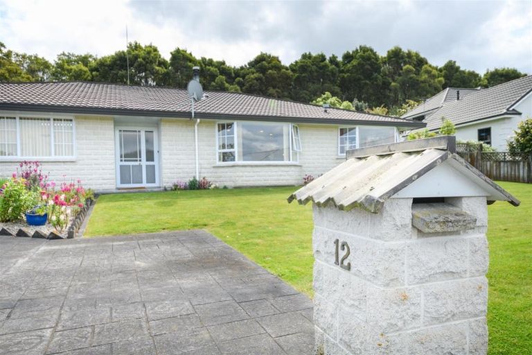 Photo of property in 12 Dunallen Avenue, Marton, 4710