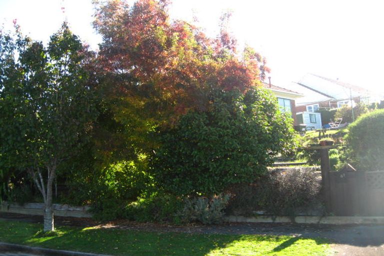 Photo of property in 31 Greenhill Avenue, Wakari, Dunedin, 9010