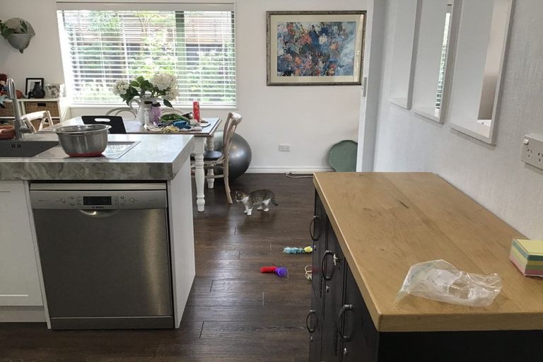 Photo of property in 23 Rosberg Place, Mount Maunganui, 3116