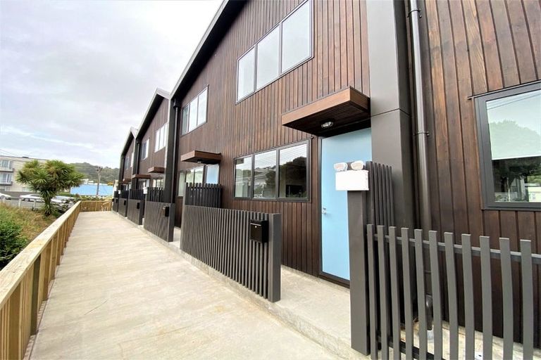 Photo of property in Aniva Terrace, 32 Ferguson Street, Newtown, Wellington, 6021