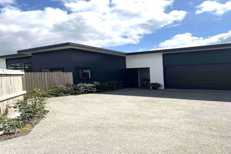 Photo of property in 99c Linton Street, West End, Palmerston North, 4410