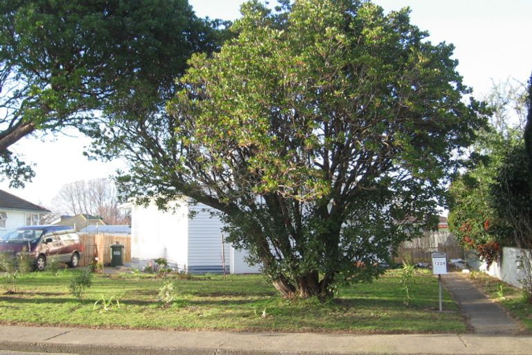 Photo of property in 1228 Cunningham Crescent, Mayfair, Hastings, 4122