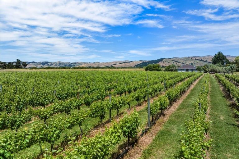 Photo of property in 686 Dillons Point Road, Dillons Point, Blenheim, 7273