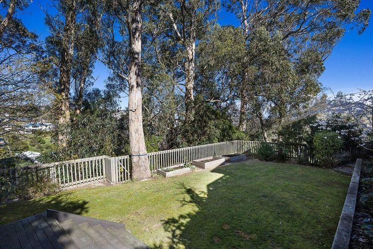 Photo of property in 7 Belford Street, Waverley, Dunedin, 9013