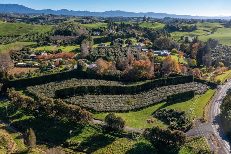 Photo of property in 394 Old Highway, Whakamarama, 3180