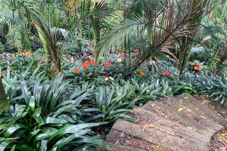 Photo of property in 111 Old Reservoir Road, Karangahake, Paeroa, 3674