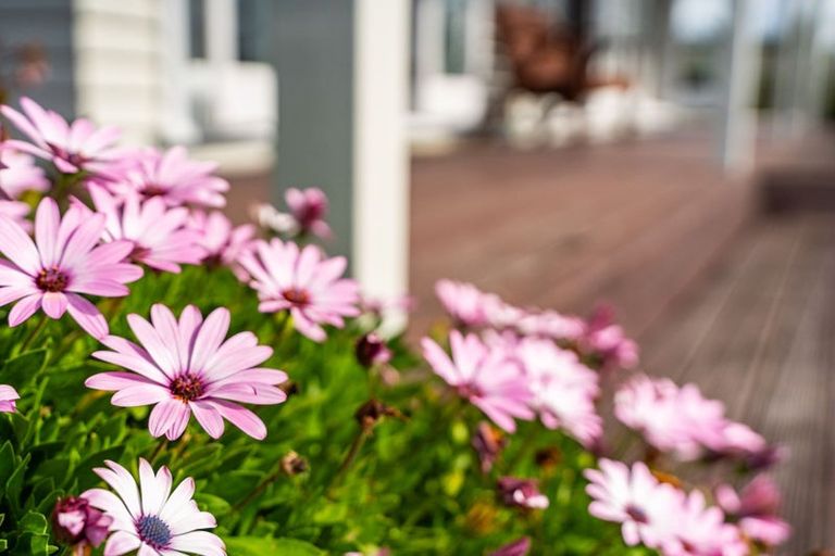 Photo of property in 172 Brooks Road, Waipu, 0582