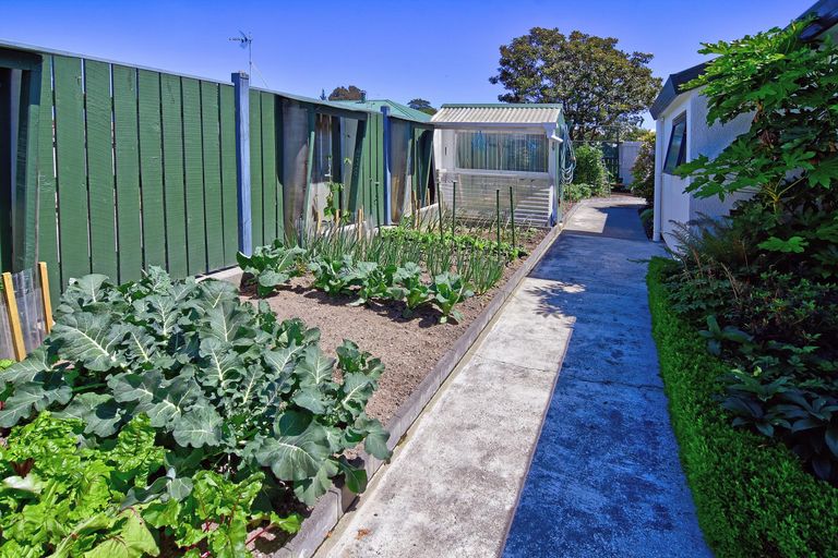Photo of property in 56 South Belt, Solway, Masterton, 5810
