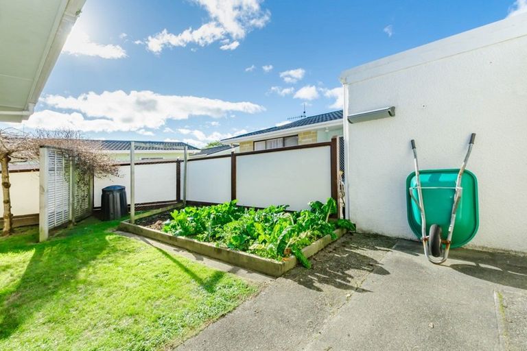 Photo of property in 3 Matai Street, Waikanae, 5036