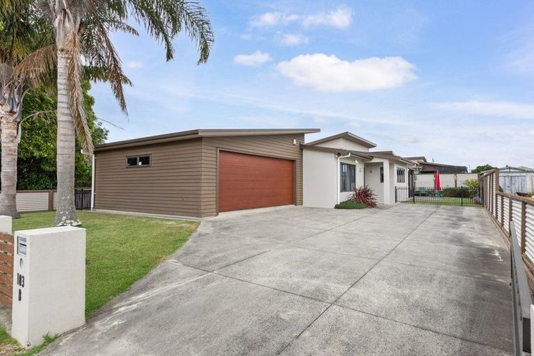 Photo of property in 103b Studholme Street, Morrinsville, 3300