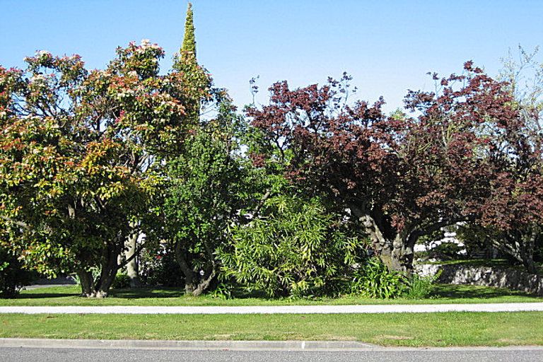 Photo of property in 95 Howick Road, Redwoodtown, Blenheim, 7201