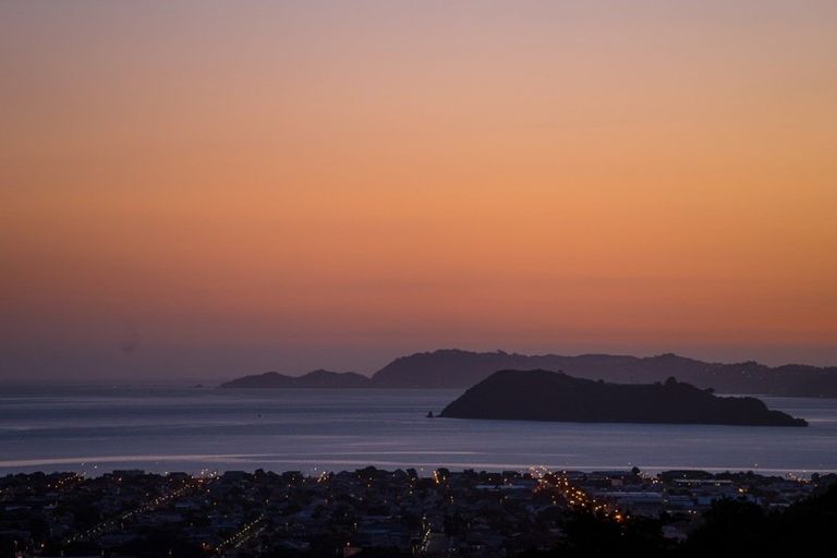 Photo of property in 29 City View Grove, Harbour View, Lower Hutt, 5010