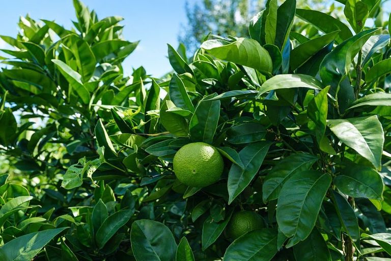 Photo of property in 32 Rayner Road, Huntly, 3700