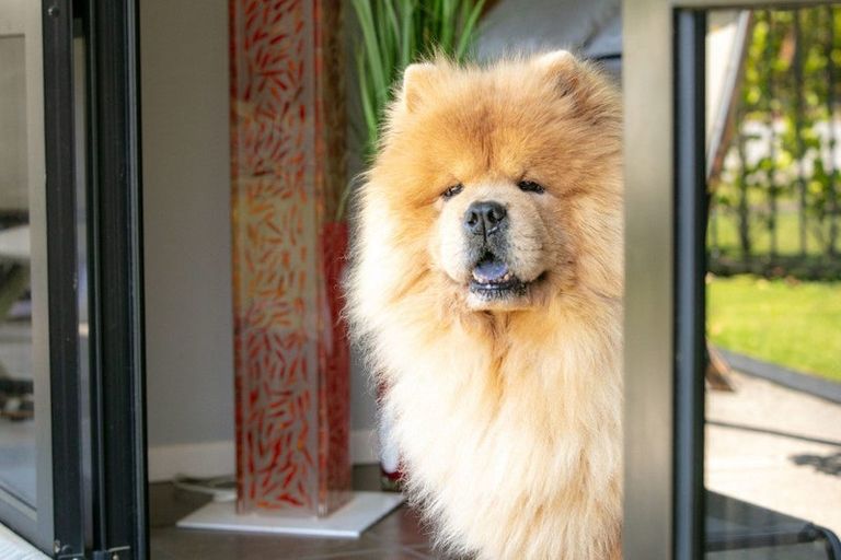 Photo of property in 17 Sapphire Crescent, Tairua, 3508