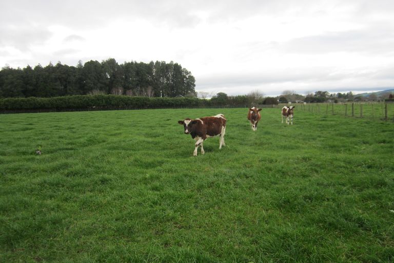 Photo of property in 411 Marychurch Road, Matangi, Hamilton, 3284