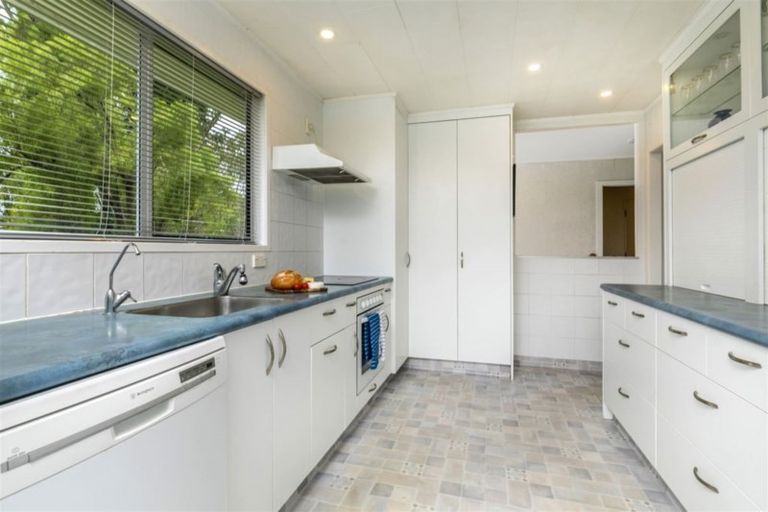 Photo of property in 39 Larissa Avenue, Henderson, Auckland, 0610