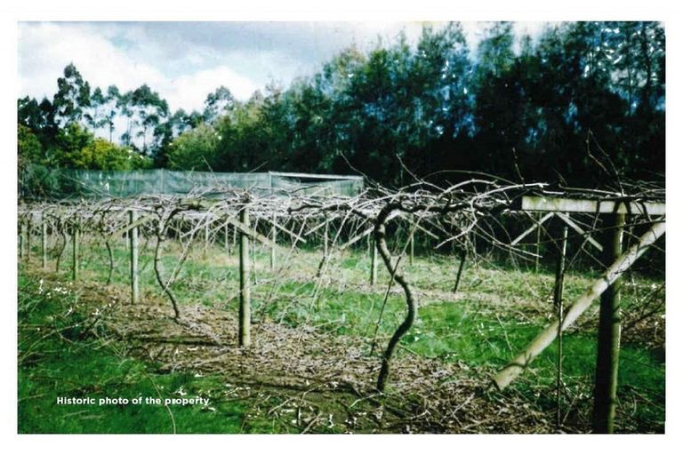 Photo of property in 378 Pakaru Road, Kawakawa, 0282