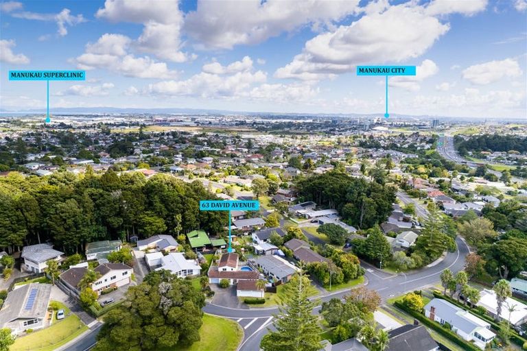 Photo of property in 63 David Avenue, Hillpark, Auckland, 2102