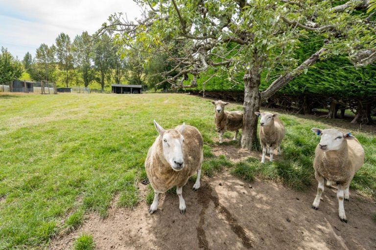 Photo of property in 398 Mount Heslington Road, Brightwater, 7091