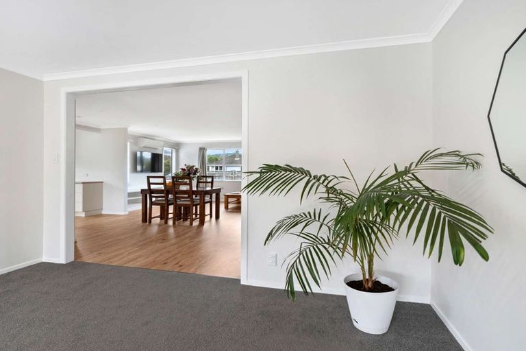 Photo of property in 113 Stanford Street North, Ashhurst, 4810